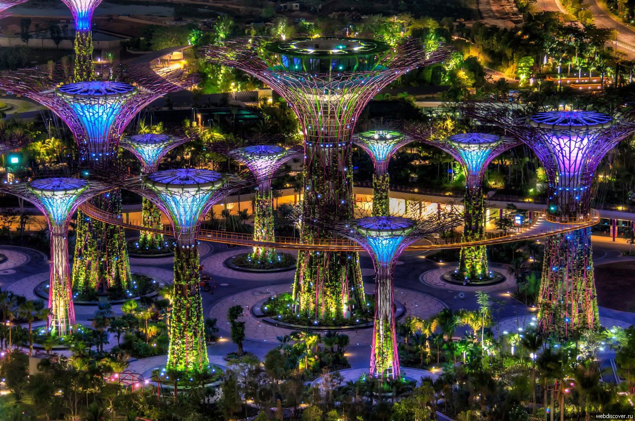 Парк деревьев в Сингапуре “Gardens by the Bay”. Как из фильма “Аватар”